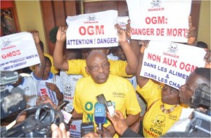 Cameroun : Des manifestants Anti OGM, perturbent une réunion des ministres