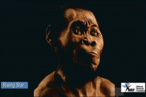 Afrique du Sud : L'Homo Naledi, une nouvelle espèce du genre humain decouverte, son à¢ge laisse les scientifiques sceptiques