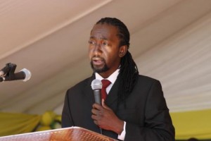 Zimbabwe :  Mugabe place  son neveu à  la tête du ministère de l' indigénisation
