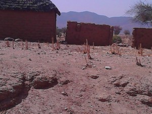 Cameroun : Warani, trois éleveurs tués dans une attaque attribuée à  Boko Haram