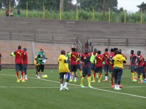 Cameroun-Nigeria : Amical Lions indomptables vs Super Eagles, ce qu'il faut savoir