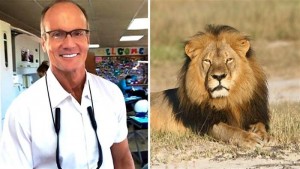 Zimbabwe : Walter Palmer  , le tueur du lion Cecil ne sera plus poursuivi