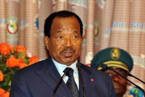 Cameroun : Renouvellement des organes du Rdpc, les partisans de Biya l'habillent du manteau de démocrate