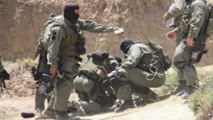 Tunisie :  Un berger exécuté par des terroristes  pour espionnage