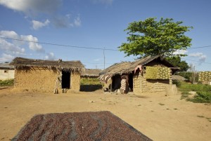 Côte d'Ivoire: Une nouvelle intoxication alimentaire fait une quarantaine de victimes à  Yamoussoukro