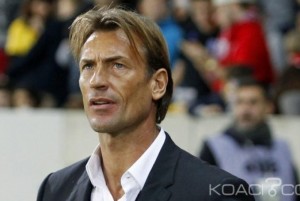 Algérie: Hervé Renard remercié par Lille, vers un retour en Afrique ?