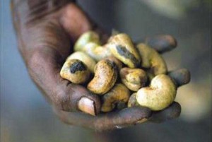 Côte d'Ivoire: Un investisseur burkinabé annonce la création d'une usine de transformation d'anacarde d'1,3 milliards à  Dabalaka