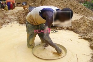 Côte d'Ivoire: Les narcotrafiquants étrangers s'installent à  la frontière du Mali