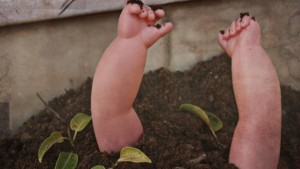 Maroc:  Un nourrisson égorgé  par sa mère à  Kénifra