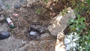 Maroc:  Deux charlatans et leur cliente arrêtés  lors d'une séance d'exorcisme