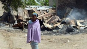Nigeria: Boko Haram incendie 100 habitations et vole 200 tête de bétail dans un village