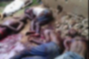 Burundi: Cinq civils abattus par la police dans le quartier de Cibitoke