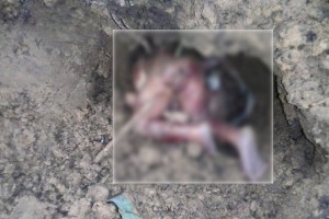 Gabon: Un enfant enterré nuitamment dans une concession privée à  Cocotiers