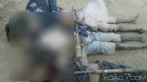 Nigeria: 12 islamistes présumés de Boko Haram abattus