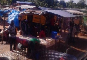 Tchad : Deux kamikazes tués dans un double attentat déjoué à  Bol
