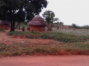 Cameroun : Un attentat-suicide attribué à  Boko Haram  fait deux morts et trois blessés