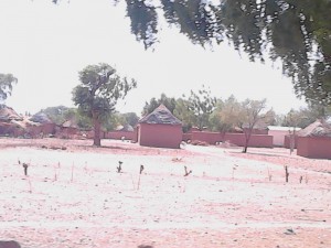 Cameroun : Kolofata, un mort dans un attentat-suicide déjoué grà¢ce au comité de vigilance