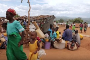 Nigeria: Fièvre de Lassa signalée à  Abuja, un décès
