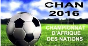 Cameroun: CHAN 2016 : les lions battent les Palancras Negras 1-0