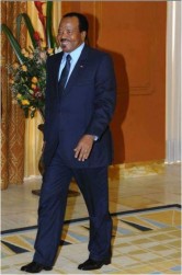 Cameroun: Critiqué pour son absence au front, Biya remet des décorations et de l'argent aux victimes de la guerre contre Boko Haram