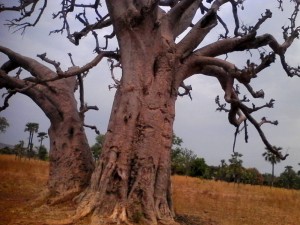 Burkina Faso: Il égorge sa femme après une dispute et se réfugie dans un cimetière