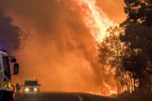 Afrique du Sud: Un mort, des vignobles ravagés dans de violents incendies