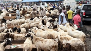 Nigeria: Des affrontements entre bergers peuls et fermiers font 20 morts