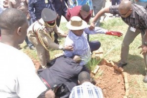 Malawi: Polémique sur une chute du Président Mutharika