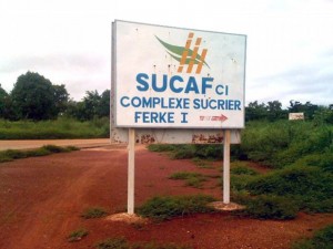 Côte d'Ivoire: Manifestations  à  la Sucaf de  Ferké, des grévistes  mis aux arrêts