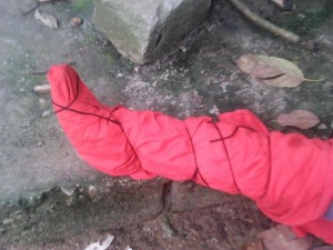 Gabon: Une jambe sans corps découverte à  Mouila