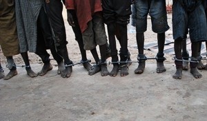 Sénégal : Un maître coranique arrêté à  Diourbel pour acte de torture, il enchaînait ses disciples