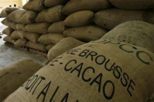 Ghana: Importation du cacao ivoirien démentie