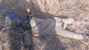 Nigeria: Une attaque contre un camp de déplacés déjouée à  Dikwa, 26 Boko Haram abattus