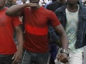 Cameroun : Un redoutable gang de preneurs d'otages rattrapés par la police à  N'Gaoundéré