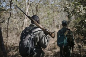 Zimbabwe : Deux italiens abattus par erreur lors d'une patrouille anti-braconnage