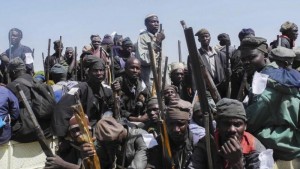 Nigeria: Une mine  posée par Boko Haram fait trois morts