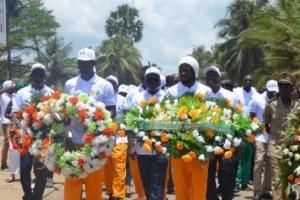 Côte d'Ivoire: Attentat de Grand-Bassam, les éléphants sur les lieux du drame