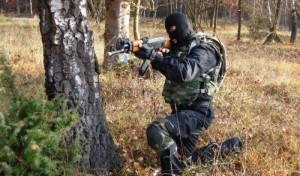 Algérie:  12 terroristes abattus par l'armée en une semaine