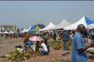 Cameroun: Au moins 11 milliard de FCFA pour  le programme Agropoles en 2016