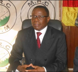 Cameroun: L'opposition appelle les populations à  résister à  travers l'opération «STAND FOR CAMEROON»