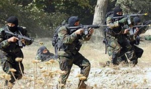 Algérie: Quatre terroristes éliminés près de la frontière tunisienne