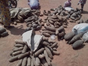 Côte d'Ivoire: Conflits agriculteurs-éleveurs, le gouvernement annonce un séminaire interministériel et une visite de Ouattara à  Bouna