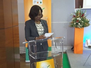 Côte d'Ivoire: PND 2016-2020, un Groupe consultatif à  Paris pour une levée de fonds de plus de 4000 milliards de FCFA