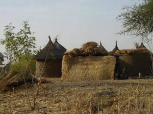 Cameroun: Kolofata, 2 kamikazes se font exploser sans faire d'autres victimes