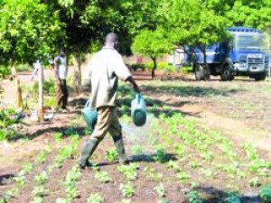 Burkina Faso: Un pensionnaire de 18 ans tué dans un centre de réinsertion sociale
