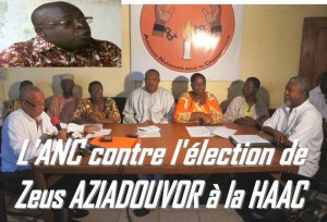 Koacinaute: Boycott du vote des membres de la HAAC hier à  l'Assemblée Nationale : l'ANC prise dans le jeu de l'à¢ne de Buridan.