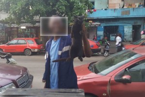 Côte d'Ivoire: Un voleur de chat pour la sauce passé à  tabac