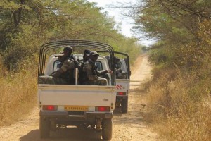 Cameroun:  Mora, 2 kamikazes trouvent la mort sans faire de victimes au sein de la population