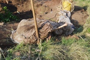 Mozambique: Des squelettes d'humains retrouvés dans le centre