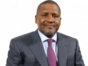 Cameroun: Marché du ciment, voici pourquoi Dangote a acquis 200 camions pour contourner la mal gouvernance dans le secteur